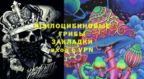 трава Арсеньев