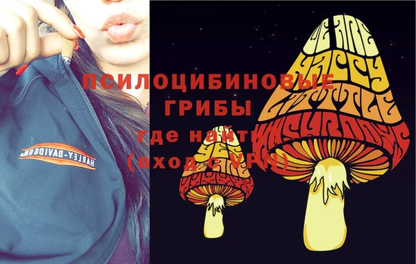 spice Армянск