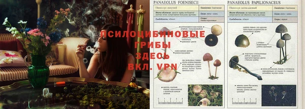 соль курить ск Нягань